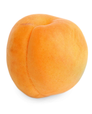 ontario apricot