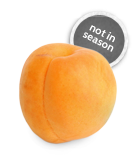 Ontario Apricots