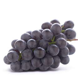 ontario fresh grape