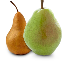 ontario pear