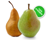 Ontario Pears